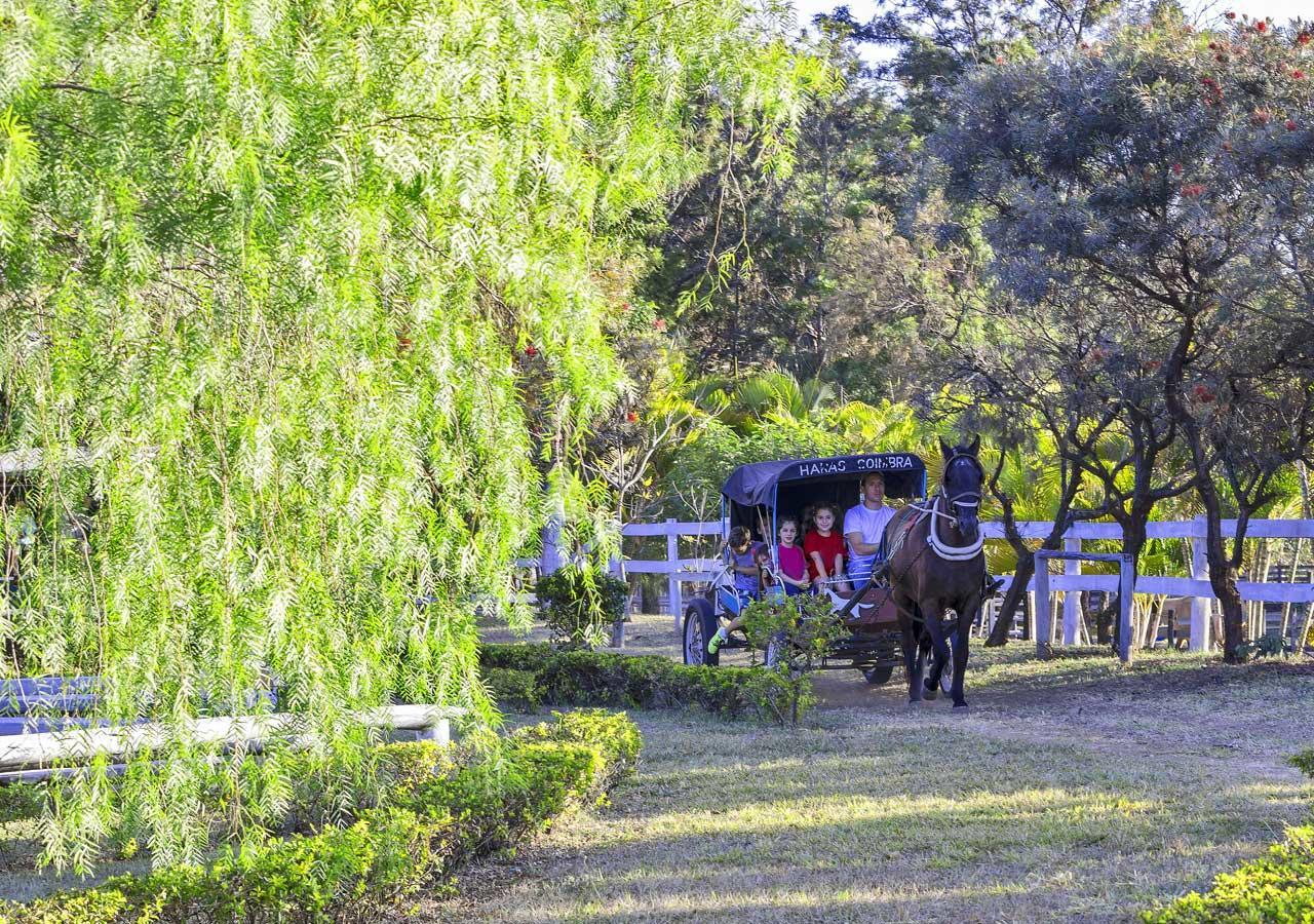 Brotas Eco Hotel Fazenda 외부 사진